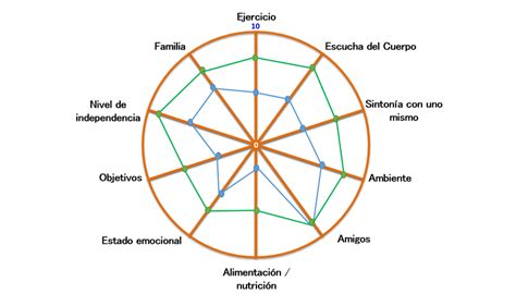 rueda de calidad de vida coaching